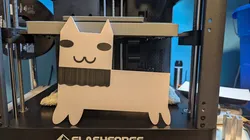 Box Cat