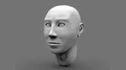 bust