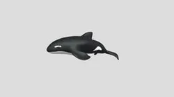 Whale