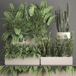 collection of plants from bushes and thickets for landscape design 1062