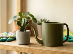 Mini Regadera para Plantas de Interior - Modelo de impresión 3D gratuito