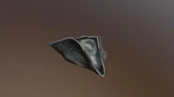 Pirate hat