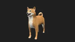 shiba inu dog