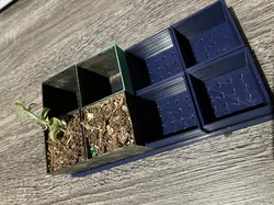 Square Plant Pot with Plant Saucer/Tray