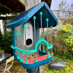 Bird Buddy halo filter for small birds