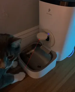Cat Feeder Manual Feed Cover
