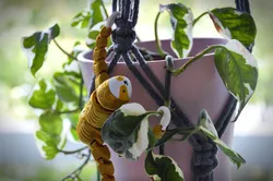 Flexi Sloth - Hook Claws for Hanging!