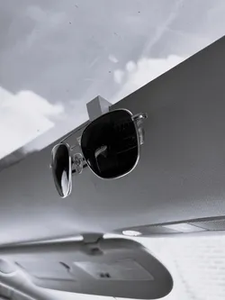 Tesla Sunglasses glassroof Holder
