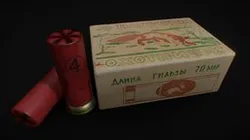 12x70 Shotgun shell