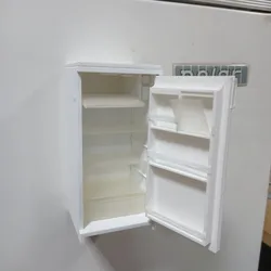 Fridge on a fridge