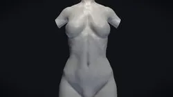 Female Torso Base Mesh
