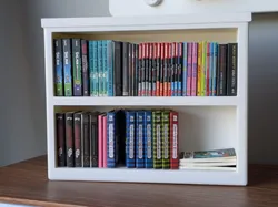 Mini Brands Book Shelf