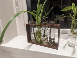 Test Tube Plant Propogation Stand (4 holes, various diameters + F3D file)