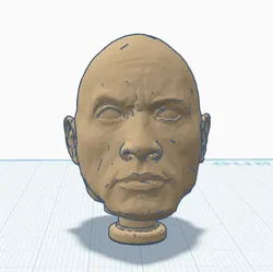 The Rock but Crock
