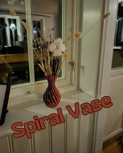 Fișiere pentru imprimante 3D | Fișier 3MF | Spiral Vase Easy print