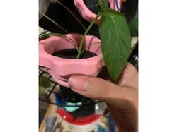 Hydroponics net cup adapter