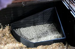 Sand bathtub for Rodents