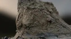 Sandy cliff rock on Rügen coast / RealityScan