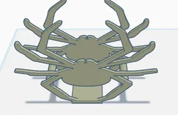 Spider wed coasters