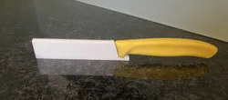 Sharp Knife Holster