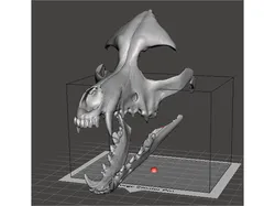 Dog Skull Mask