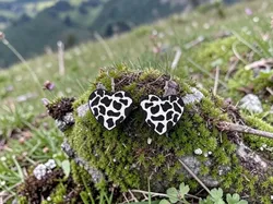 Pendientes de corazón de vaca - Modelo de impresión 3D gratuito