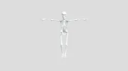 Skeleton Enemy