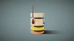 Skin Cross Section Anatomy