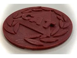 Lakewood Cat Medallion