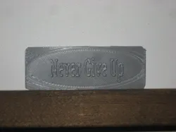 Never Give Up