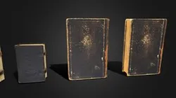 Old Damaged Books set - Sample