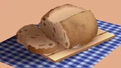 Sourdough Still Life (VR)