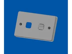 Switch Wall Plate - Double