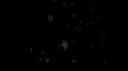 Bats Swarm looping Animation 8MB FBX