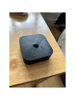Dummy Blink Camera