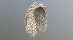 Side Swept Curls (With Bones)