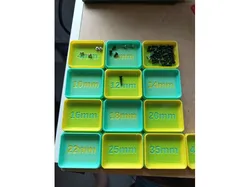 Sorting Trays