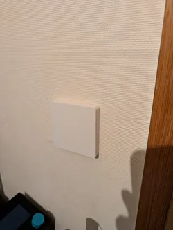 Busch Jaeger Busch-balance SI - Light switch cover