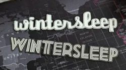 Wintersleep band name art, ultra thin
