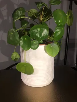 Modern planter NR_TYf92