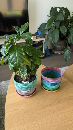 Plant Pot