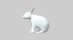 rabbit