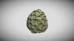 Cherimoya Fruit Photogrammetry