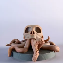 Octopus Skull Decor