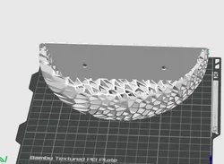 Wall Mount Decorative See Through Voronoi Pattern