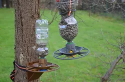 Bird Feeder