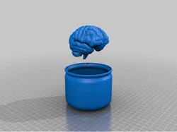 Brain In Jar