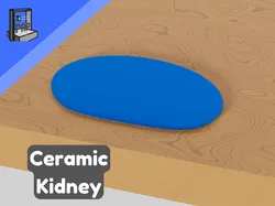 Ceramic Kidney