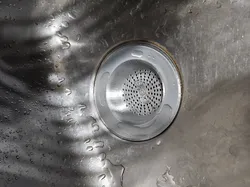 Disposable Sink Strainer (Monthly)
