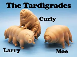 The Tardigrades - 3 Models